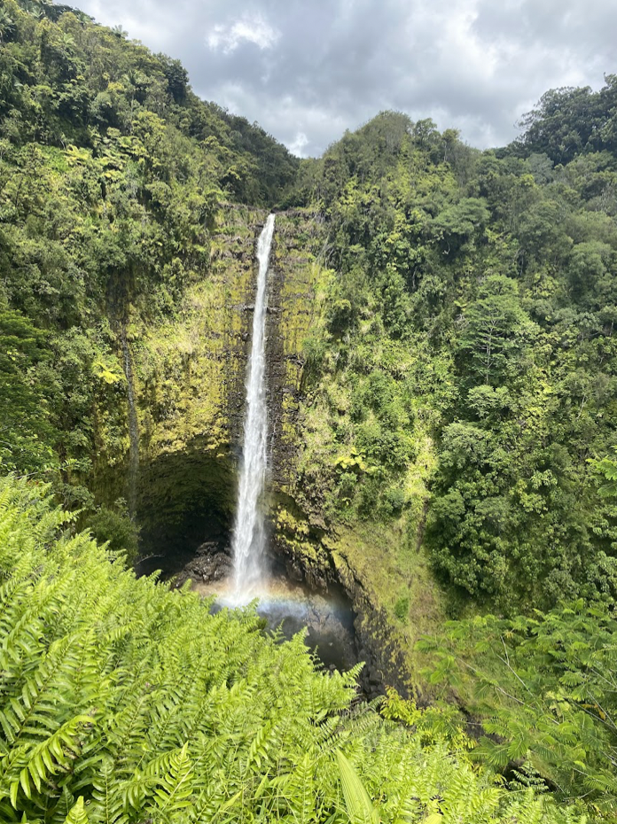 Hawai'i The Big Island Travel Guide - The Wildflower Way