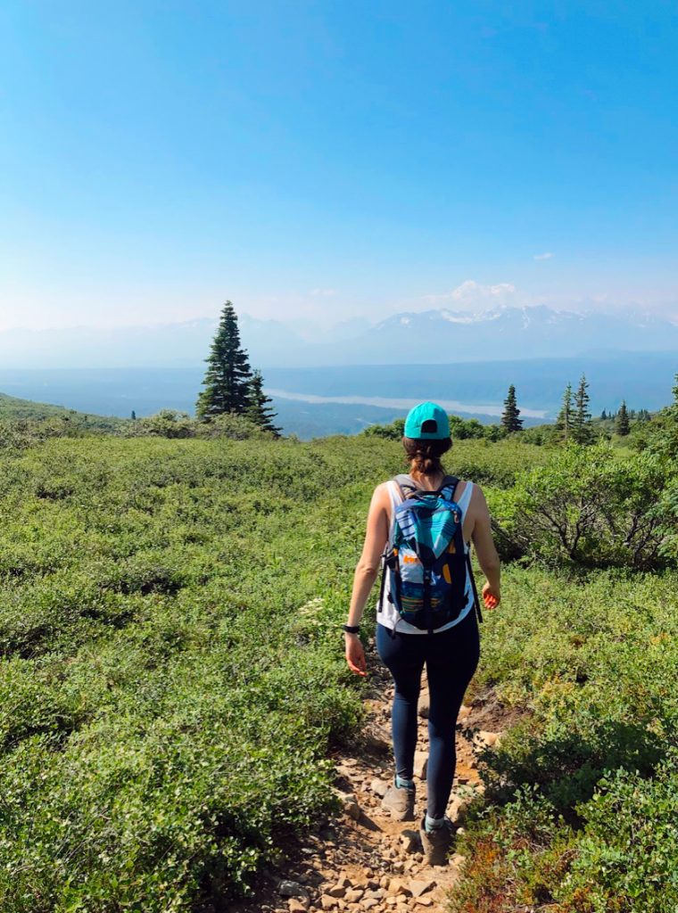 Hike in Denali State Park in Alaska