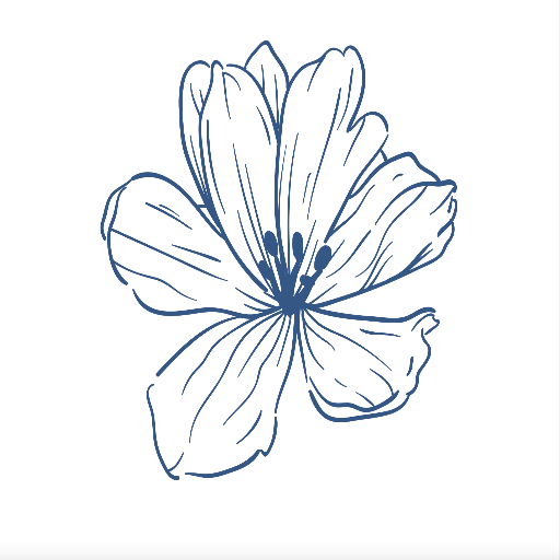 blog-the-wildflower-way