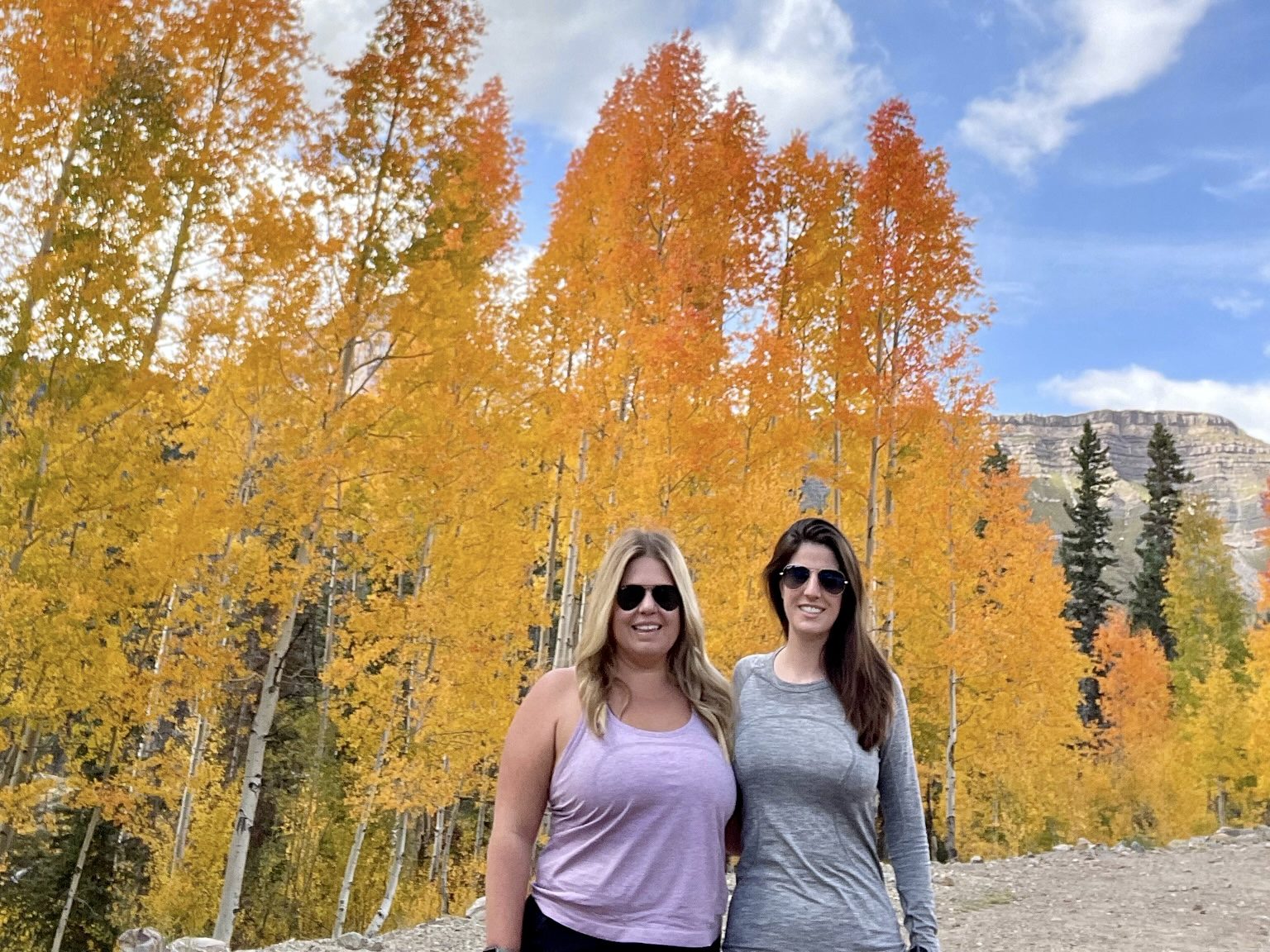 Leaves changing color on the Million Dollar Highway