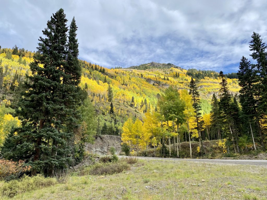 Leaves changing color in Ouray