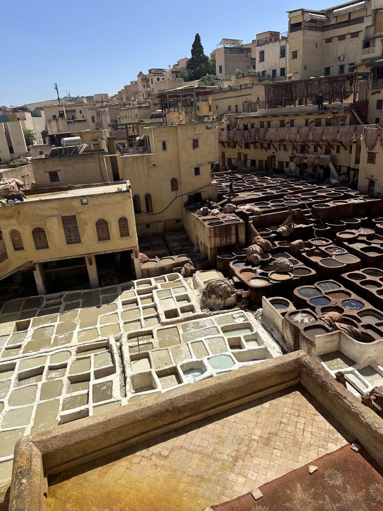 tannery in Fez