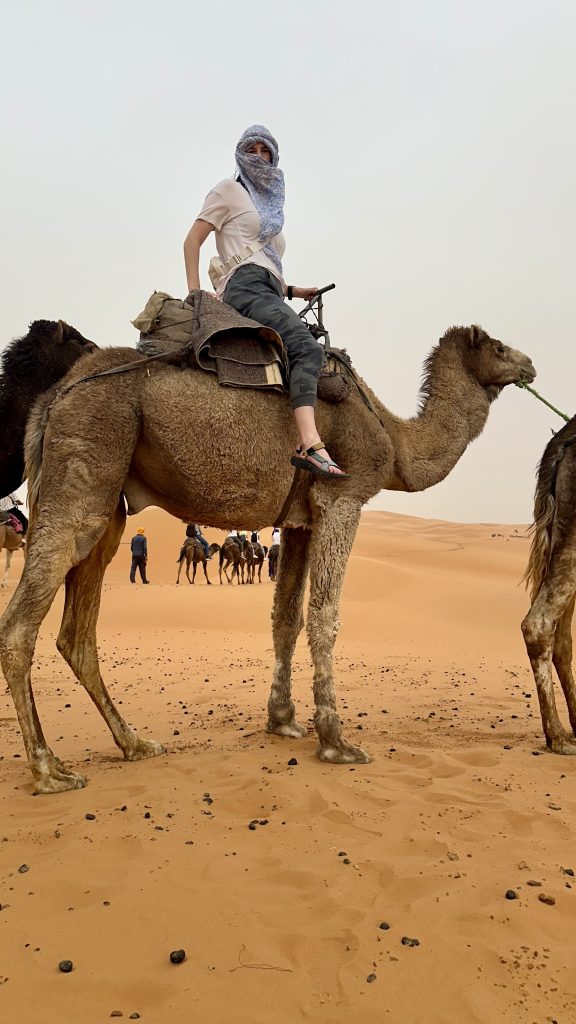 riding a camel in the Sahara desert