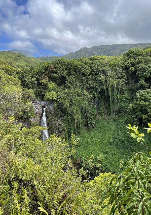 Waterfall in Maui