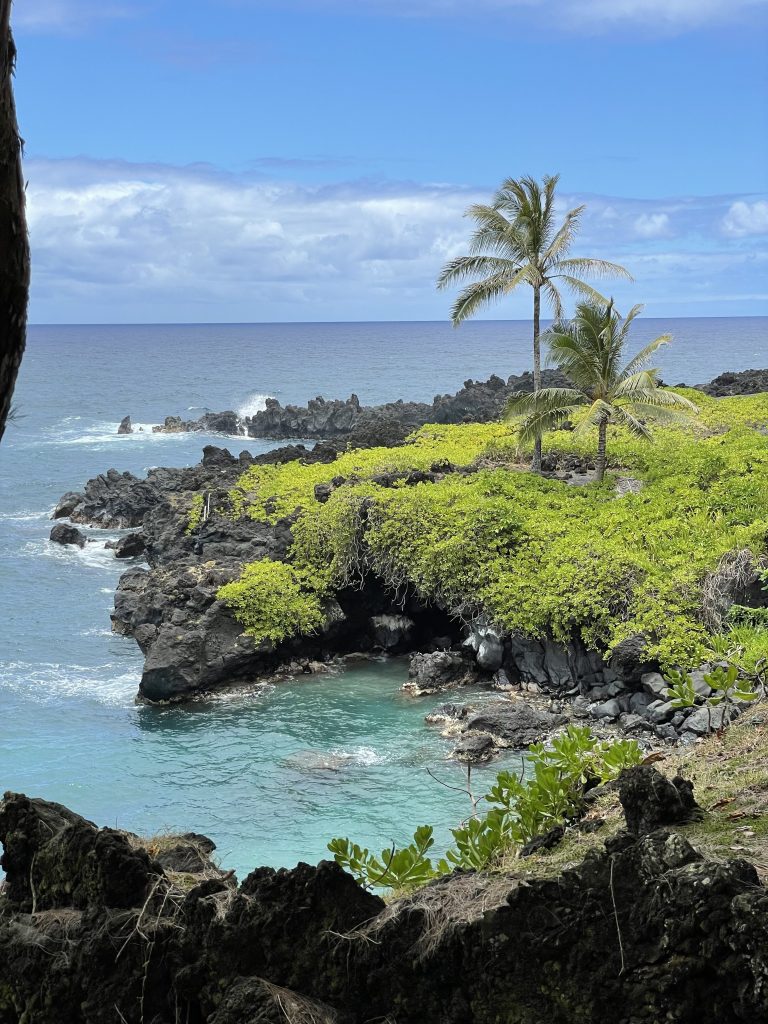 Black Sand Beach in Hawaii