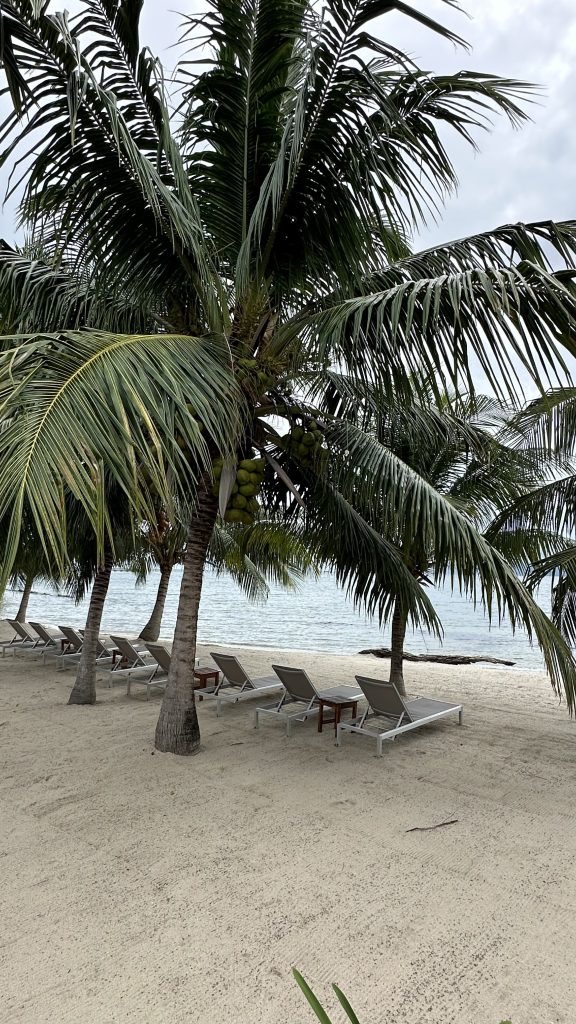 beach view with palm trees